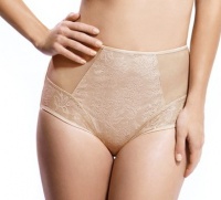 Panache Idina High Waisted Brief - 10